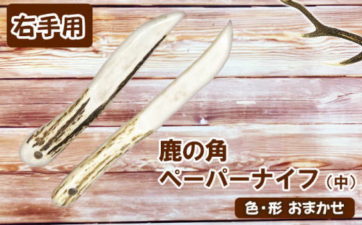 鹿の角 ペーパーナイフ 中 1個 右手用 【竜鹿】/ 鹿角 鹿 しか シカ グッズ 本物 加工 加工品 工芸 工芸品 クラフト ナイフ 右利き 日用品 雑貨 不揃い ふぞろい 1個 人気 事務用品 事務 オ