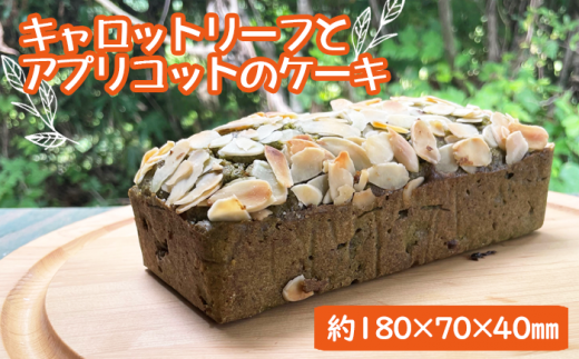 <ヴィーガンケーキ>キャロットリーフとアプリコットのケーキ【岩手山麓農園 Mountain Smile】岩手県滝沢市14000菓子・スイーツケーキ・カステラ