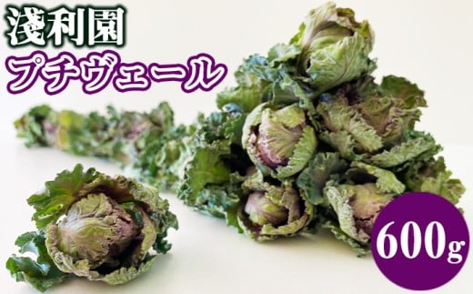 【 2025年 12月 〜 2026年 3月 限定発送 】 岩手県産 プチヴェール 600g 【淺利園】/ 野菜 やさい フレッシュ 新鮮 冬野菜 旬 旬野菜 甘い 美味しい 芽キャベツ ケール 600g 希少 稀少 期間限