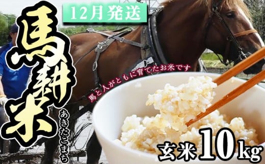 【 2025年 12月中旬より発送】 岩手県産 新米 馬耕米 あきたこまち 玄米 10kg /【株式会社スタディア】 お米 米 こめ コメ 馬ふん堆肥 使用 ご飯 ライス おにぎり 弁当 単一原料米 10キロ 10kg