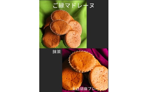 デ・レーヴジュニオールのアカシアご縁マドレーヌ×玉露抹茶マドレーヌ10個入り・D013-13愛知県西尾市13000菓子・スイーツ焼き菓子