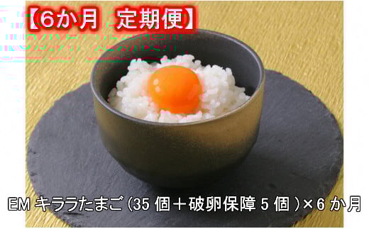 S018-66.杉山ポートリー「EMキララたまご」【6か月定期便】愛知県西尾市66000卵・乳製品卵(鶏、烏骨鶏等)