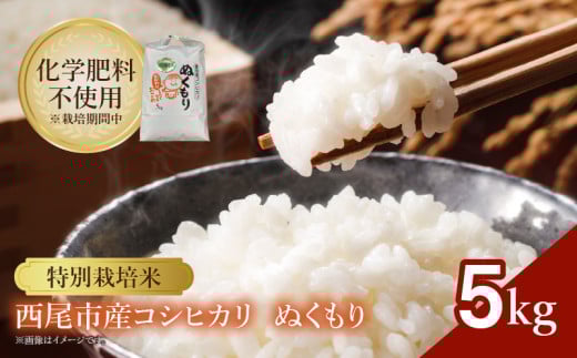 【令和7年産】特別栽培米西尾産コシヒカリ《ぬくもり》【5kg/袋×1袋】・D024-18愛知県西尾市18000米・パン白米