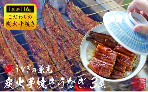 炭火手焼き 愛知県三河一色産うなぎ蒲焼き 3尾(1尾あたり116g〜135g)・U025-19愛知県西尾市19000魚介・海産物うなぎ