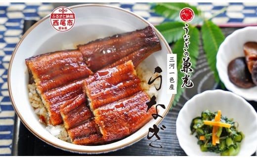 愛知県三河一色産うなぎ蒲焼き 超特大サイズ2尾(合計500g以上) 国産 蒲焼 タレ付き うなぎの兼光 うなぎ 鰻 ウナギ たれ セット 冷凍 簡単 時短 ギフト ひつまぶし うなぎ丼 うなぎ重 人気