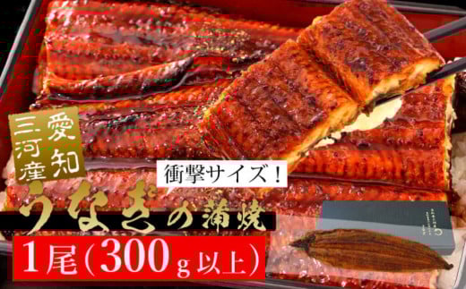 規格外サイズ!とても大きな三河産うなぎ「蒲焼き冷凍×1尾(300g以上)」蒲焼 ウナギ 国産うなぎ 鰻 蒲焼 愛知県 西尾市 愛知養魚 本格うなぎ 丑の日 土用の丑の日・A135-14愛知県西尾市14000