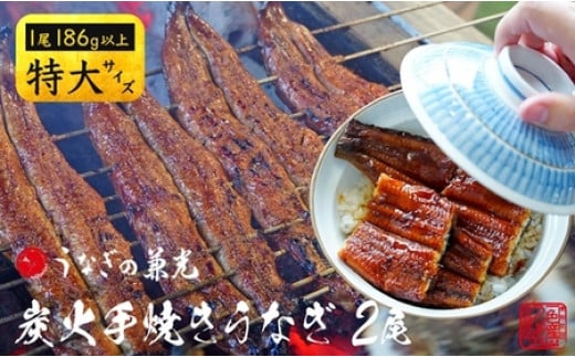 炭火手焼き 愛知県三河一色産 うなぎ蒲焼き 特大 2尾(1尾あたり186g以上) 国産うなぎ うなぎ ウナギ 鰻 鰻の蒲焼き 鰻の蒲焼 蒲焼 蒲焼き 土用 土用の丑の日 土用丑の日 丑の日 ・U037愛