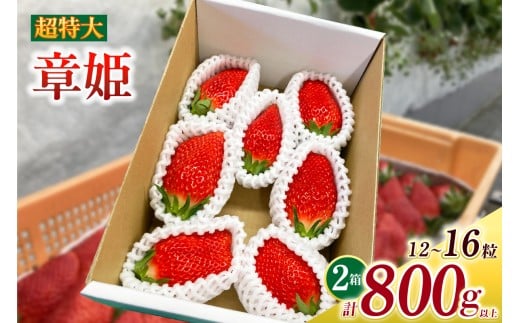 超特大いちご(章姫) 400g以上(6〜8粒)×2箱・O046-28愛知県西尾市28000果物・フルーツいちご