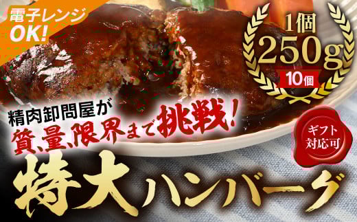 【250g×10個】精肉卸問屋が自信をもってお届けする特大ハンバーグ(デミグラスソース) 冷凍 電子レンジOK 調理済・T098愛知県西尾市10000肉加工肉(ハム・ソーセージ等)