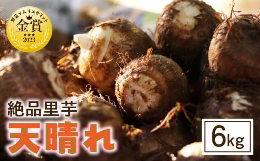 絶品里芋 〜天晴れ〜 6kg・S068愛知県西尾市16000野菜・きのこその他 野菜