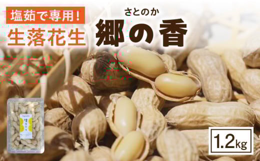 塩茹で専用!生落花生『300g×4パック』・S062愛知県西尾市10000野菜・きのこその他 野菜