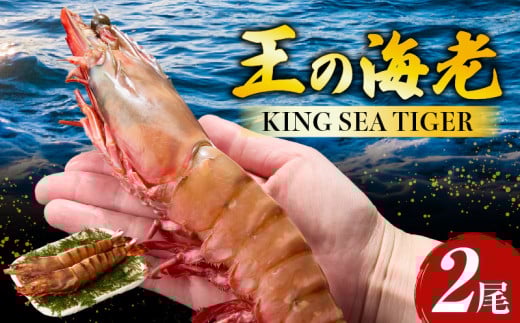 yzKing Sea Tiger ̊CV2EK305ms14000ECYGr