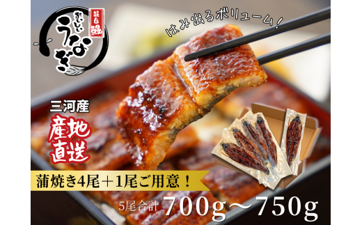 三河産うなぎ「蒲焼大サイズ4尾+1尾(計700〜750g)」・A202愛知県西尾市30000魚介・海産物うなぎ