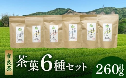 【吉良茶】味わいの違うお茶を飲み比べ! 茶葉6種セット 計260g・O057愛知県西尾市11000お茶・飲料お茶
