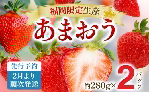 【先行予約2月より順次発送】あまおう グランデサイズ以上 約560g(約280g×2パック) 苺 イチゴ いちご フルーツ 果物 ふるさと納税くだもの ブランド くだもの 福岡県産福岡県みやこ町16000