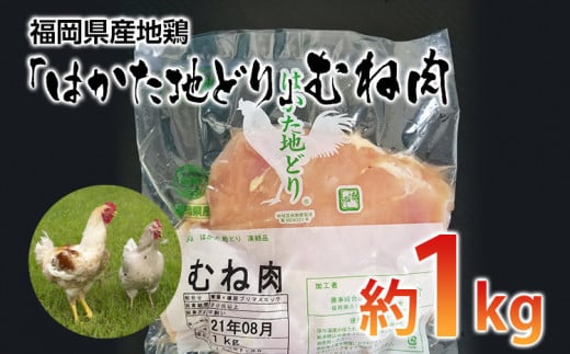 福岡県産地鶏「はかた地どり」むね肉(約1kg)  お取り寄せグルメ お取り寄せ 福岡 お土産 九州 ご当地グルメ 福岡土産 取り寄せ 福岡県 食品福岡県みやこ町12000肉鶏肉