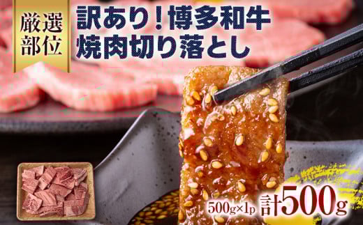 訳あり!【A4〜A5】博多和牛焼肉切り落とし(肩ロース・バラ) 500g 黒毛和牛 お取り寄せグルメ お取り寄せ 福岡 お土産 九州 福岡土産 取り寄せ グルメ 福岡県福岡県みやこ町14000肉牛肉