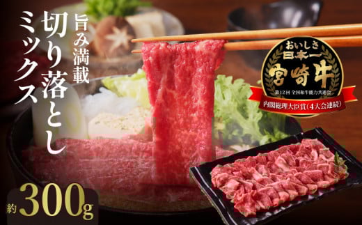 宮崎牛旨み満載ミックス切り落とし N023-YZA301宮崎県延岡市13000肉牛肉