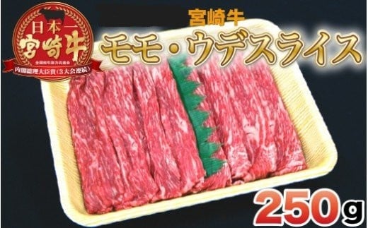 宮崎牛モモ・ウデスライス N023-YZA302宮崎県延岡市13000肉牛肉