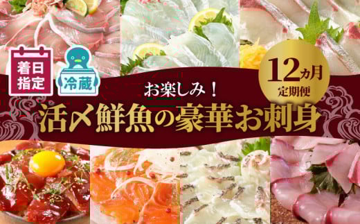 【お楽しみ定期便】延岡産活〆鮮魚の豪華お刺身 12ヶ月定期便 着日指定 鮮魚 豪華柵 国産 刺身 新鮮 総重量 5800g ヒラメ 真鯛 カンパチ ブリ 漬け丼 マグロ サーモン メヒカリ はまち 季節 魚