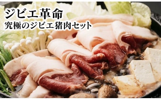 ジビエ革命〜究極のジビエ猪肉セット N028-YZA508宮崎県延岡市14000肉ジビエ