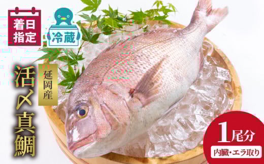 【冷蔵】延岡産活〆鮮魚職人技の脱血鮮魚真鯛1尾分(内臓エラ取り)【最短10日後以降発送可】真鯛 魚介 チルド冷蔵 旬 国産 宮崎県延岡市  請関水産 N019-YA758宮崎県延岡市17000魚介・海産