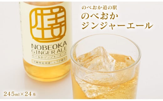 【のべおか道の駅】のべおかジンジャーエール24本 N009-YZB219宮崎県延岡市23000お茶・飲料その他 お茶・飲料
