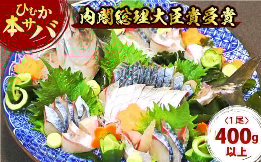【内閣総理大臣賞受賞!】ひむか本サバ1尾(セミドレス)400g以上 N025-YA0386宮崎県延岡市10000魚介・海産物貝類