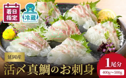 y①zyǂzYY^̂hggCpbN×2i1j400`500g N019-YA5508{茧s15000ECYL