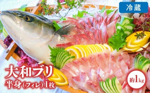 【大和ブリ】半身(フィレ)約1.0kg×1枚スキンレスロイン仕様 N072-YB327_1宮崎県延岡市23000魚介・海産物鮮魚