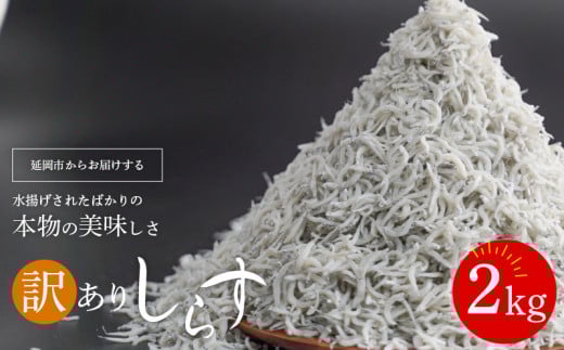 訳ありしらす宮崎産ドドーンと2kg入り N065-YZA2220宮崎県延岡市14000魚介・海産物その他 魚介・海産物