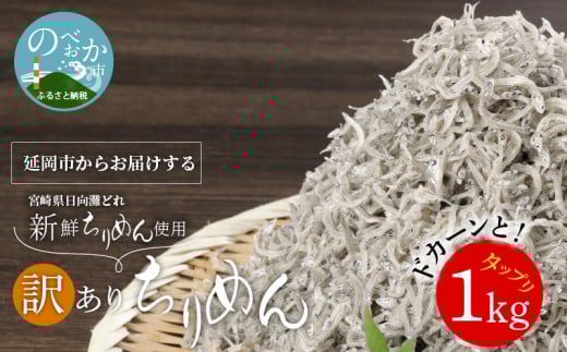 󂠂肿߂ 1kg N065-YZA0130{茧s13000ECY̑ ECY