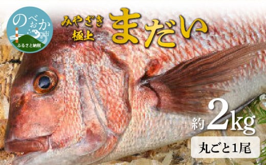 【冷蔵】たいセミドレス N018-YA5524宮崎県延岡市15000魚介・海産物鮮魚
