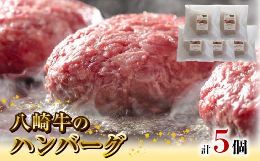 八崎牛のハンバーグ120g×5個 N0105-YZA4408宮崎県延岡市15000肉牛肉