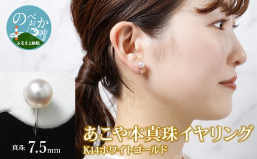 あこや本真珠イヤリング14Kホワイトゴールド N0119-YZG0105宮崎県延岡市119000衣類・装飾品・工芸品アクセサリー