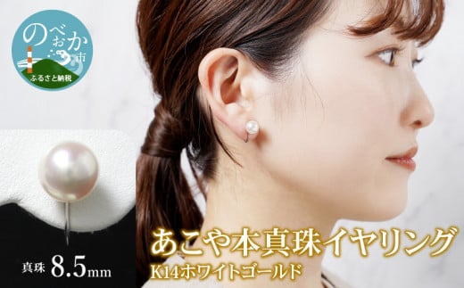 {^CO^8.5mm14KzCgS[h N0119-YZG0107{茧s159000ߗށEiEH|iANZT[