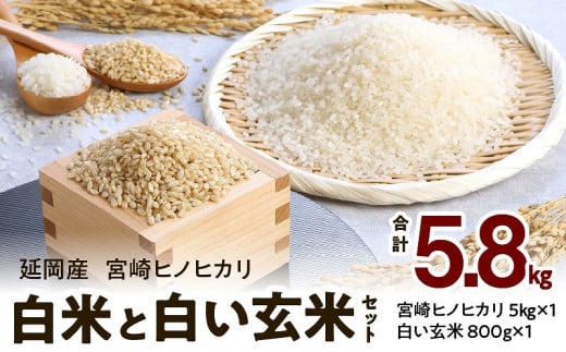 宮崎ヒノヒカリ延岡産白米と白い玄米セット合計5.8s N0149-YC090宮崎県延岡市30000米・パン白米