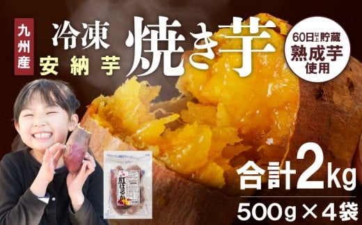 [Ă500g×4 N0152-YA0178{茧s8000َqEXC[c̑ aَq
