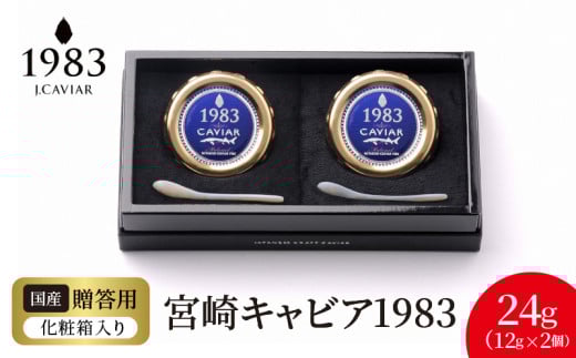 {LrA1983 (24g)  N027-YD0220{茧s58000ECYqȆ