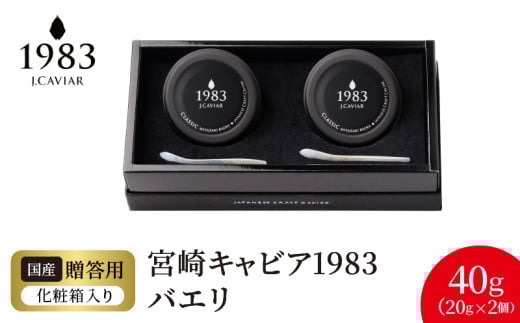 {LrA1983 oG(40g) N027-YF087{茧s86000ECYqȆ