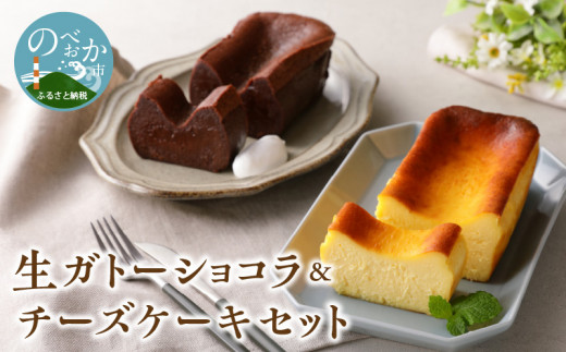生ガトーショコラ&チーズケーキセット N0153-YZB225宮崎県延岡市25000菓子・スイーツケーキ・カステラ