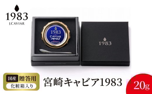 {LrA1983 (20g) N027-YD0219{茧s51000ECYqȆ