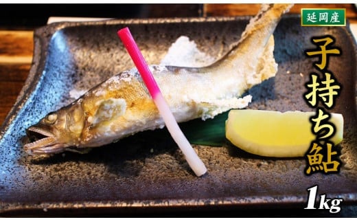 【延岡産】小分けで便利!冷凍子持ち鮎1kg N017-YZA173宮崎県延岡市13000魚介・海産物鮮魚
