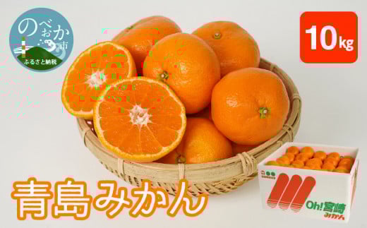 青島みかん 10kg N0132-YB351宮崎県延岡市23000果物・フルーツみかん・柑橘類