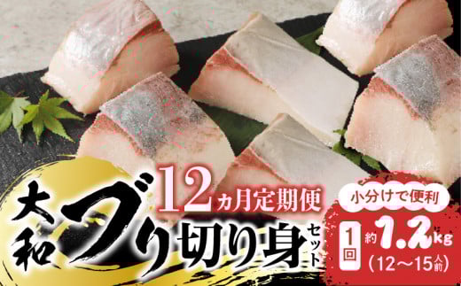 【12ヶ月定期便】大和海商大和ブリの切り身たっぷりセット N072-YH053宮崎県延岡市240000魚介・海産物鮮魚