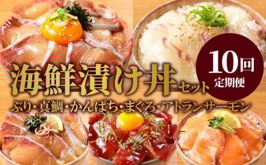 お魚の漬け丼バラエティ10回定期便 N019-YG0190宮崎県延岡市123000魚介・海産物鮮魚