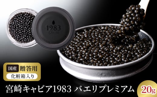 {LrA1983 oGv~A(20g) N027-YD0225{茧s56000ECYqȆ