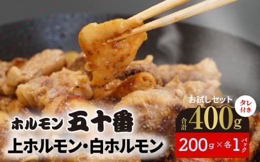 上ホルモン・白ホルモンお試しセット N122-YA188宮崎県延岡市11000肉豚肉