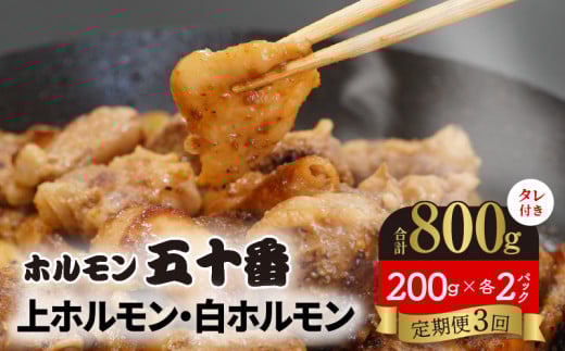 【3ヶ月定期便】上ホルモン・白ホルモン200g×各2パック N122-YD0187宮崎県延岡市48000肉豚肉