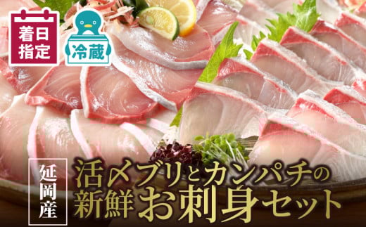 y①zYYuƃJp`̐VNhgZbg N019-YB331{茧s23000ECYL